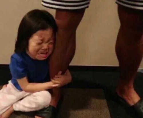 Mỗi lần em bé năn nỉ là phải dùng meme cầu xin cho đủ vibe