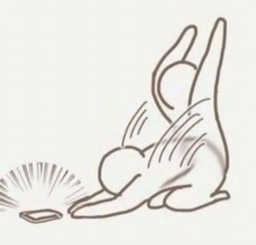 Khi lời nói bất lực thì meme cầu xin lên tiếng hộ