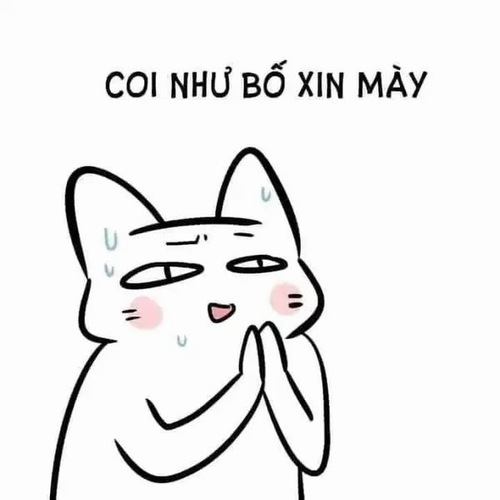 30 Meme Cầu Xin, chắp tay thỉnh cầu hài hước nhìn là mềm lòng muốn gật đầu ngay