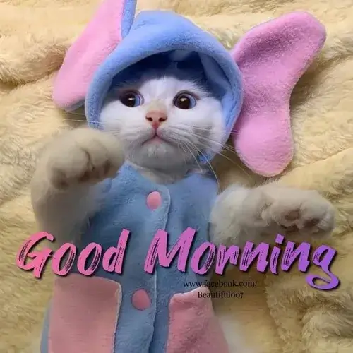 Meme dân mạng Hà Nội chúc buổi sáng bằng câu thơ vui