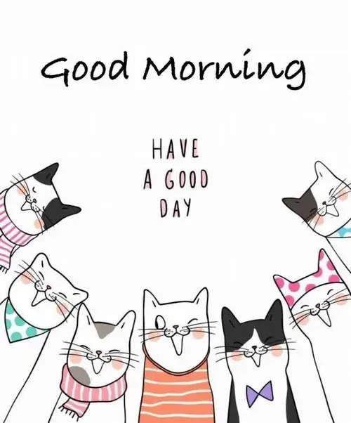 Meme hài “cười tí đi, sáng mà cau mày là xui đó”