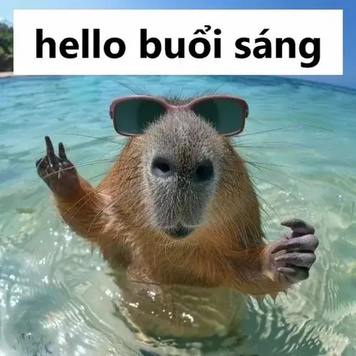 120+ Meme Chào Buổi Sáng hài hước tốt lành giúp ngày mới rộn rã tiếng cười