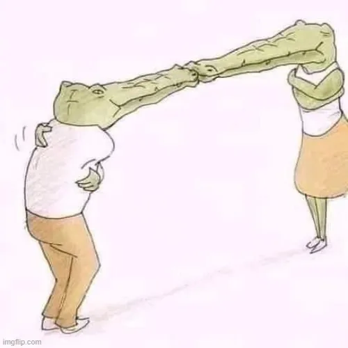 Cá sấu cố ôm ai đó nhưng mõm dài cản trở