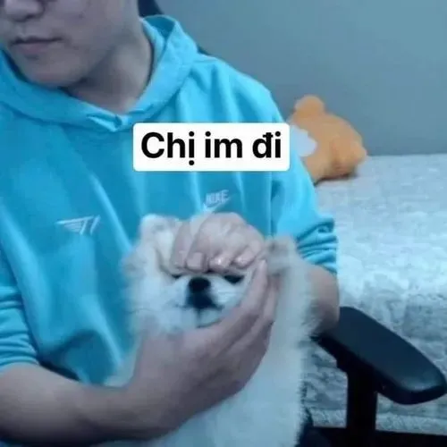 Ảnh meme vui biểu cảm chán nản nhưng vẫn mang chút hài duyên.