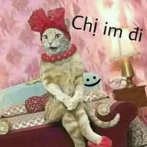 36 ảnh Chị Im Đi Meme hài hước với đỉnh cao chặn họng khi gặp người nói nhiều