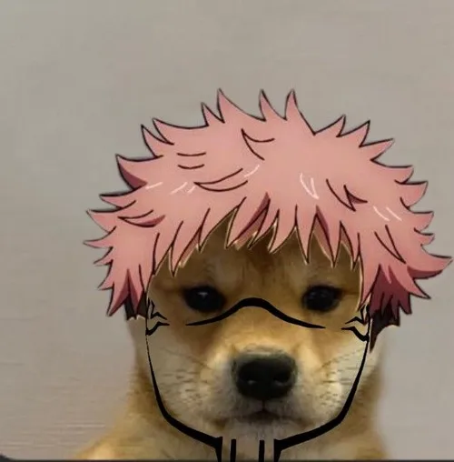 Hình đại diện Facebook theo phong cách ngầu kết hợp shiba bựa đầy tinh nghịch.