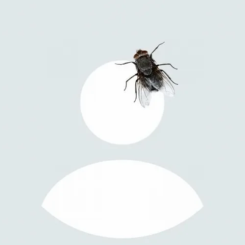 Ảnh cá nhân kiểu vui tính kèm avatar hoạt hình dí dỏm.