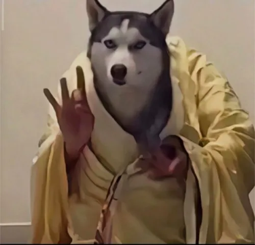 Hình chế meme vui hình avatar thể hiện nét cười lệch hài hước