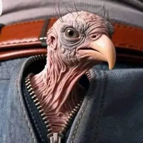 Ảnh vui ảnh profile phối ánh sáng lệch tạo chất tự trào tinh nghịch