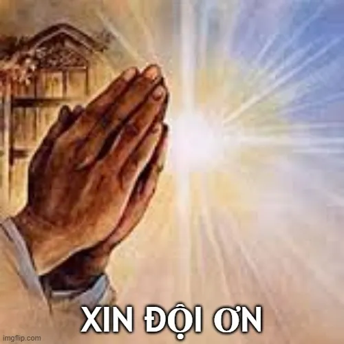 Meme hài đội ơn gợi lên thấm thía trong lời cảm tạ.