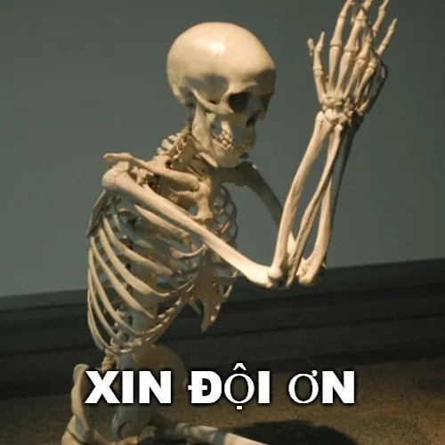 Ảnh vui biết ơn diễn đạt nghĩa tình theo cảm xúc mềm lòng.