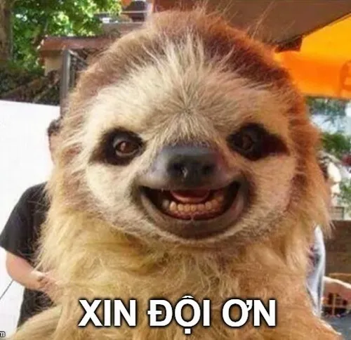 Meme đội ơn cho lúc ai đó cứu bạn một pha bất ngờ