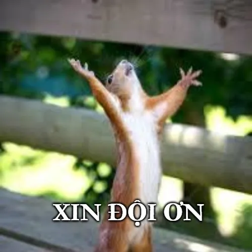 Ảnh meme vui mang ơn gắn với lòng tốt và hỗ trợ.