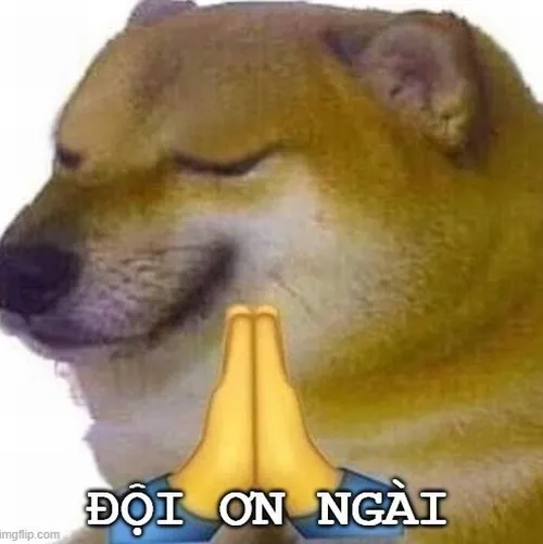 Khoảnh khắc Shiba ghi ơn phản ánh sự hy sinh trong quan hệ.