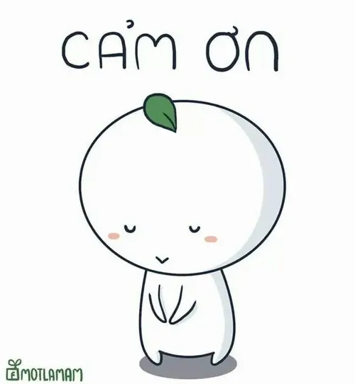 Meme hài hước đội ơn phản ánh gánh ơn trong cảm xúc sâu nặng.