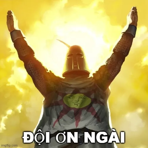 Ảnh troll biết ơn liên hệ che chở và sẻ chia hằng ngày.