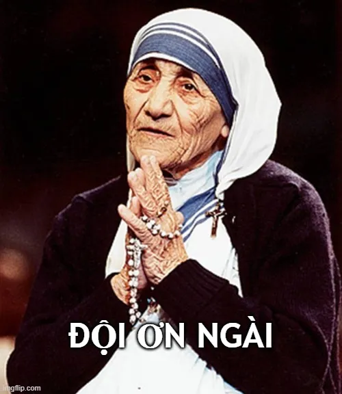 Hình meme đội ơn để cảm ơn tinh tế kiểu vui nhẹ