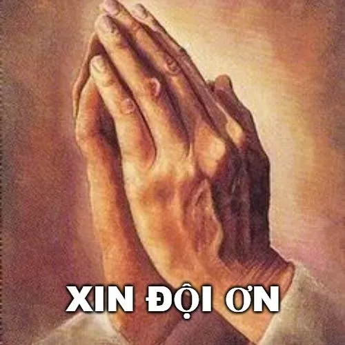 Ảnh chế đội ơn giúp bạn nói cảm xúc khó nói thành lời