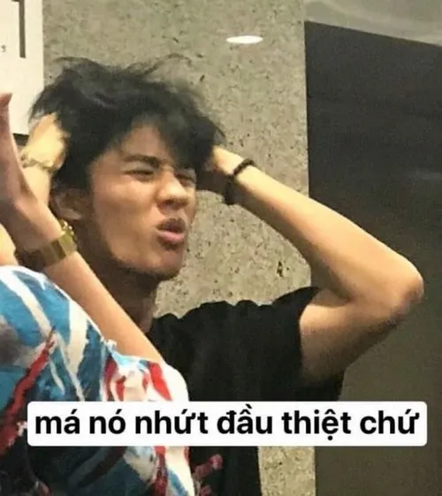 Hình chế meme gục ngã cho những ngày tụt sức vì deadline liên tục