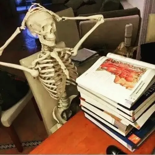 Loạt meme bộ xương gục ngã giúp kể lại cảm giác mệt mà lời nói không hết