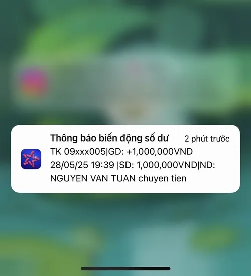 84 Ảnh Chuyển Khoản Troll hài hước phù hợp phông bạt sống ảo trên mạng xã hội