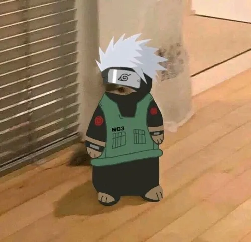 Ảnh chế ninja làng Lá đội 7 mừng rỡ sau buổi tập.