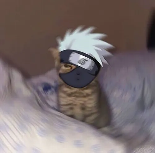 Meme Kakashi ngồi đọc truyện tình cảm giữa buổi huấn luyện.