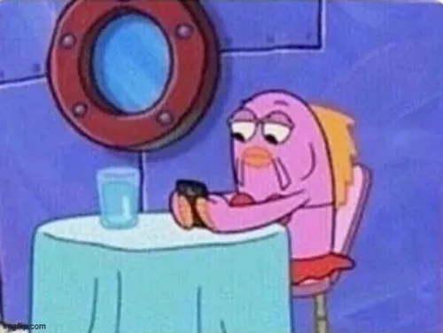 Cá trê râu dài và những phản ứng ngố rất đáng yêu