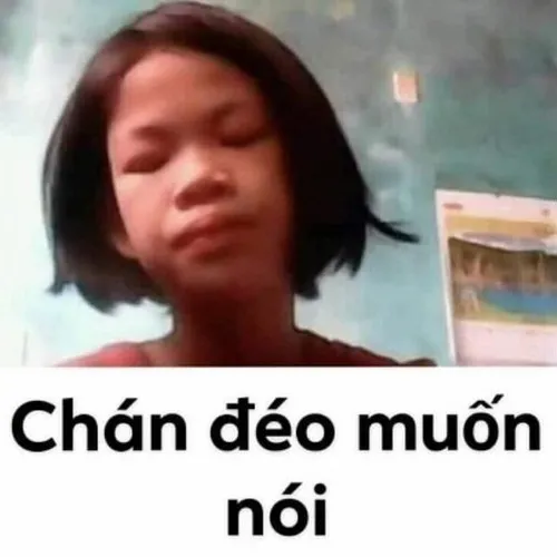 Ảnh meme chán chường không muốn nói làm dân văn phòng gật gù
