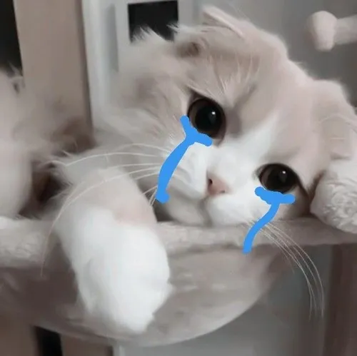 Meme chán hờ hững lột tả ánh mắt vô hồn khi đang trên xe buýt đông.