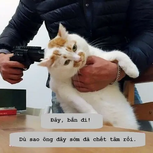 Hình meme hài buồn rũ phản ánh mức độ chán đời lan rộng cuối tuần.
