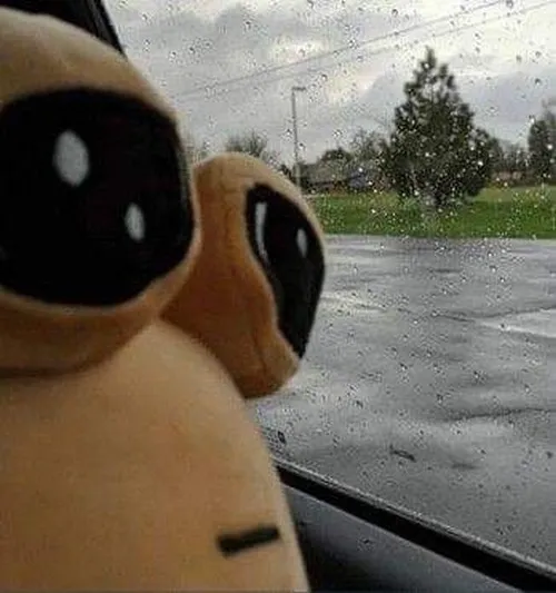 Ảnh hài đuối sức khắc họa dáng gục vì deadline nối tiếp deadline.