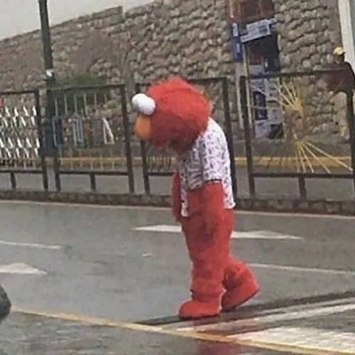 Những khoảnh khắc chán đời thành meme khiến dân mạng bật cười