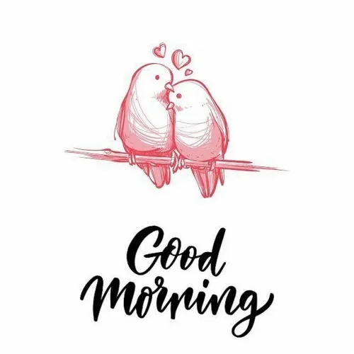 Hình meme vui mô tả tiếng chim đánh thức sáng sớm