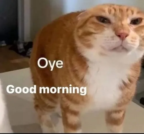 Ảnh chế “bình minh là lời nhắc: hôm nay lại bắt đầu mới”