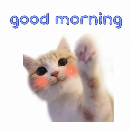 Meme lời chào “ngày mới rực sáng như ánh mặt trời”