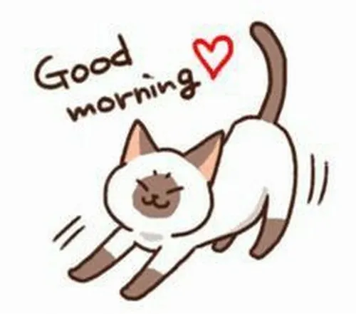 Meme khung cảnh quán cà phê sáng sớm, hơi khói nhẹ bay