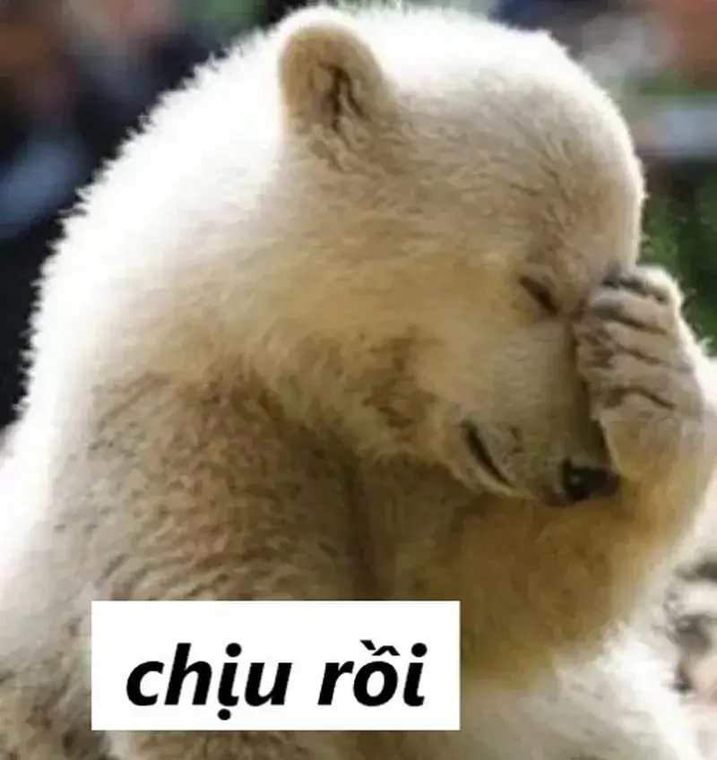 Ảnh chế chịu đấy mô phỏng nét mệt phi lý nhưng khá dễ hiểu.