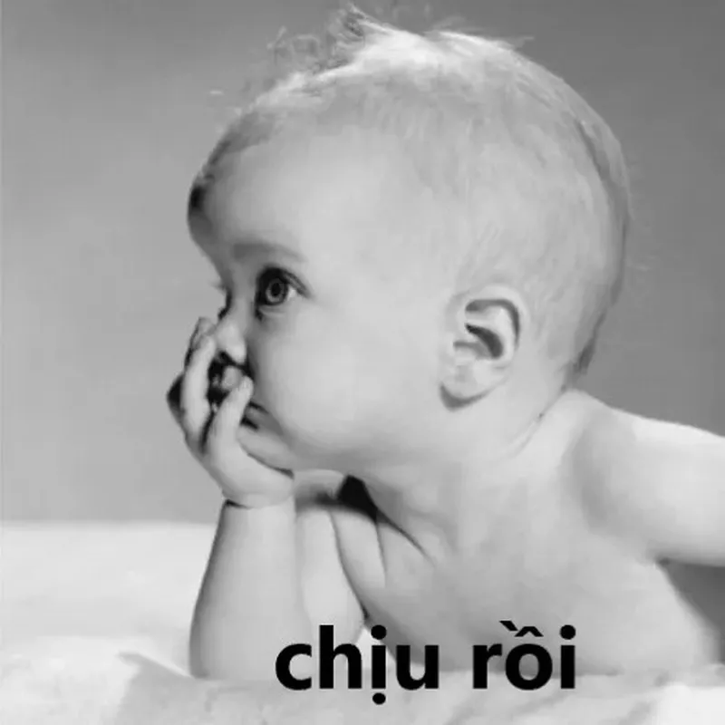 36 ảnh Meme Chịu Thua, Chịu Rồi hài hước khi buông xuôi không giải quyết nổi