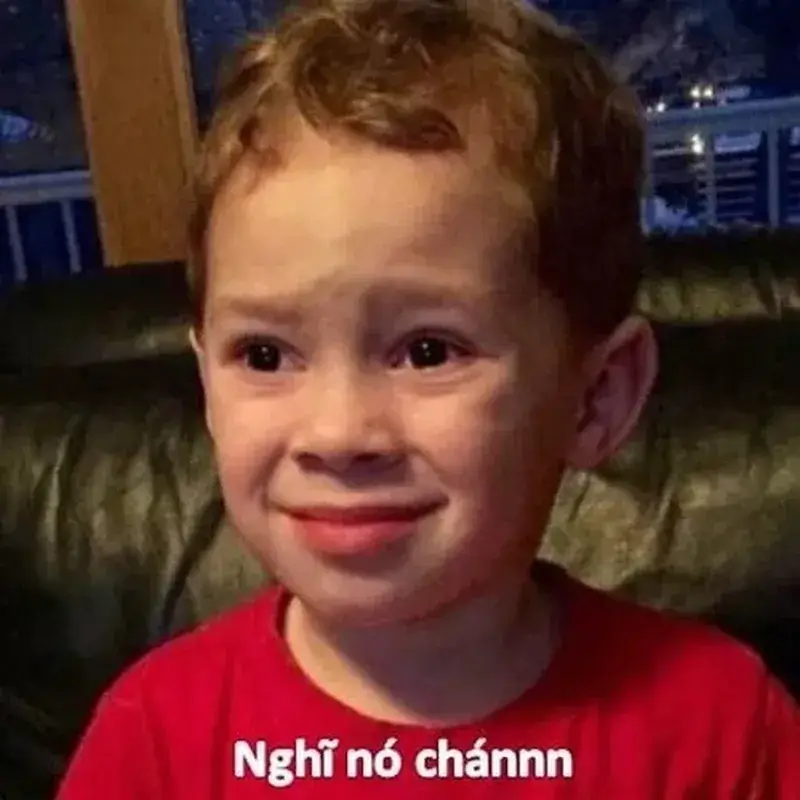 Ảnh troll chịu rồi giúp người xem giải tỏa bằng tiếng cười châm nhẹ.