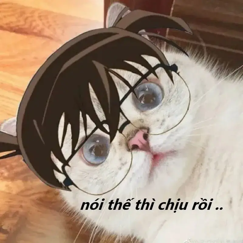 Ảnh vui chịu đấy tạo điểm nhấn giữa nụ cười gượng và hoàn cảnh.