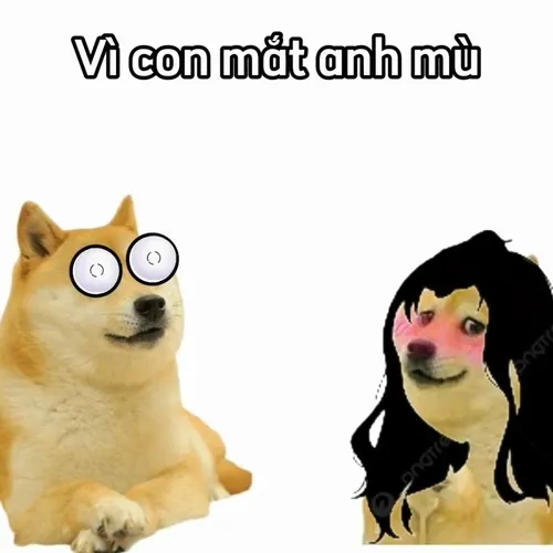 Meme Shiba mù mắt thể hiện cơn ngại dâng lên khi thấy cảnh ngớ ngẩn