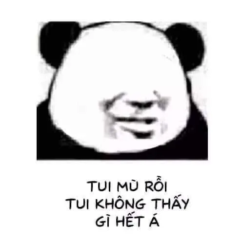 Ảnh gấu trúc mù rồi, không thấy gì hết á