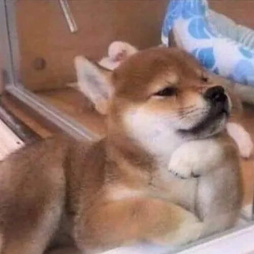 Ảnh tựa mặt suy tư thể hiện nét kiệm lời và sự cân nhắc sâu giữa ngày bận