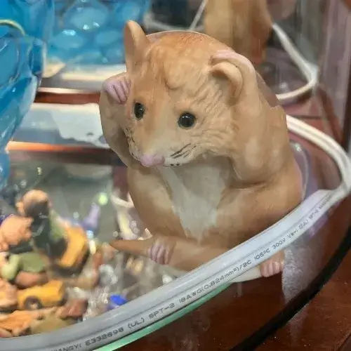 Hình meme hài ù tai phản ánh sự quá tải của lịch làm việc.