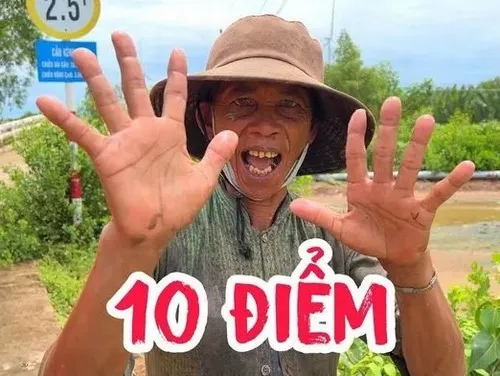 Meme đỉnh cao cho tình huống cần khen ngợi 10 điểm