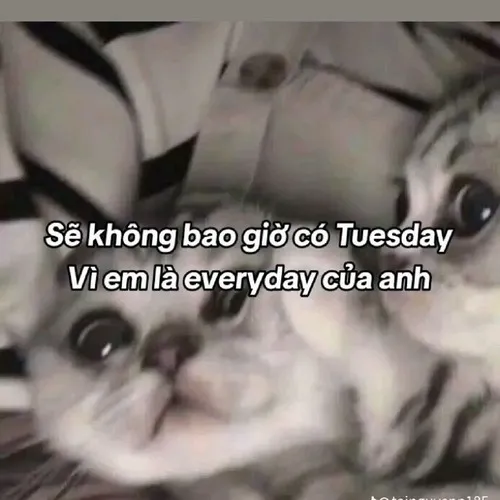 Ảnh troll người thương nhìn ngại ngùng gợi cảm xúc gần