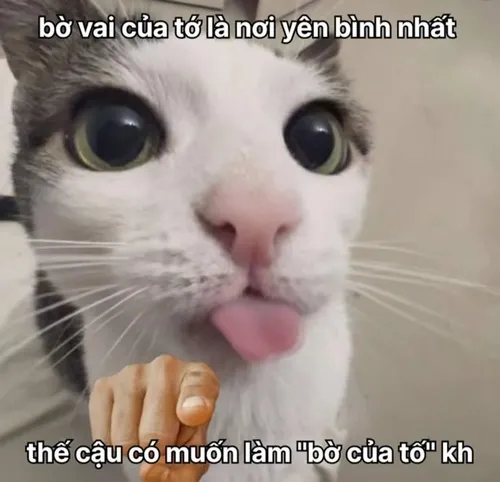 Meme chế người yêu trêu ghẹo duyên thầm giữ kết nối