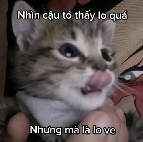Meme chế người yêu nén cười đỏ mặt rất dễ thương
