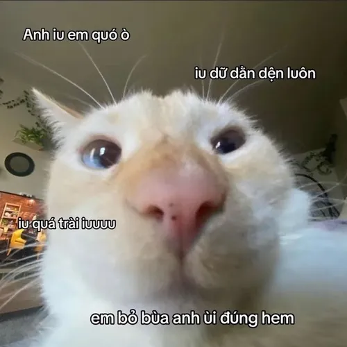 Hình troll người yêu hồi đáp lấp lửng gây rung động